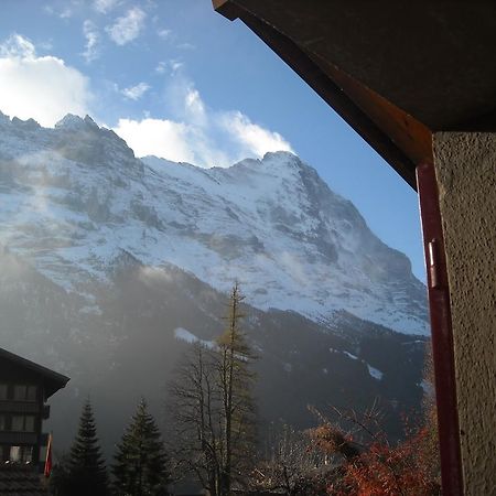 Pfaffenstoeckli Lejlighed Grindelwald Eksteriør billede