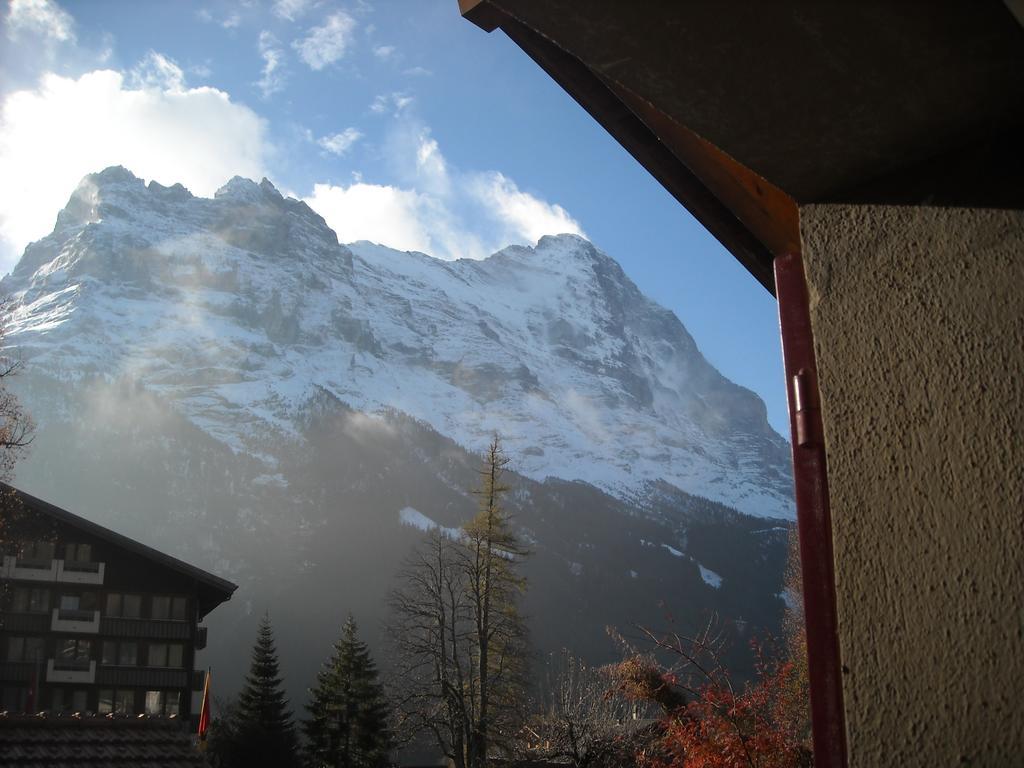Pfaffenstoeckli Lejlighed Grindelwald Eksteriør billede