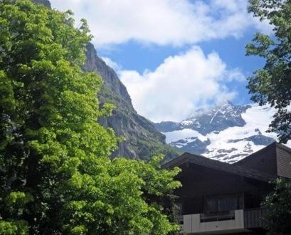 Pfaffenstoeckli Lejlighed Grindelwald Værelse billede