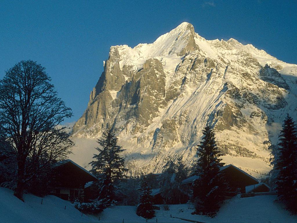 Pfaffenstoeckli Lejlighed Grindelwald Eksteriør billede